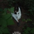 HongKongDoll玩偶姐姐森林系列第三集《破裂》在线高清完整版 ！！插图2